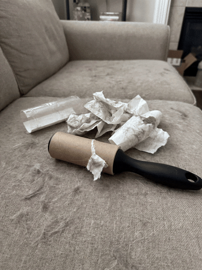 The lint roller that runs out after a week.